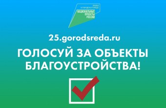 почти 64 тысячи человек проголосовали за улучшение общественных пространств в приморье