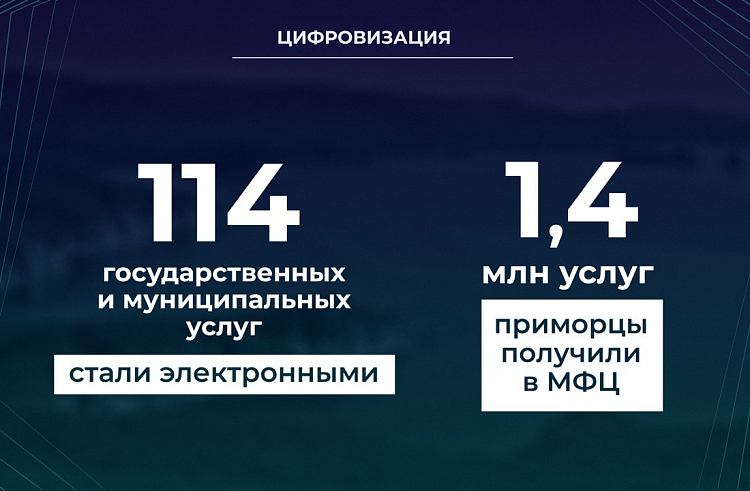 Более 110 государственных и муниципальных услуг в Приморье сделали «электронными» в 2021 году. ОТЧЕТ