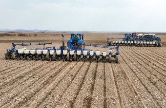 Аграрии Приморья выполнили план по кукурузе и ранним зерновым