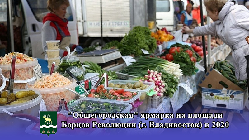 "Общегородская" ярмарка на площади Борцов Революции (г. Владивосток) в 2020 году