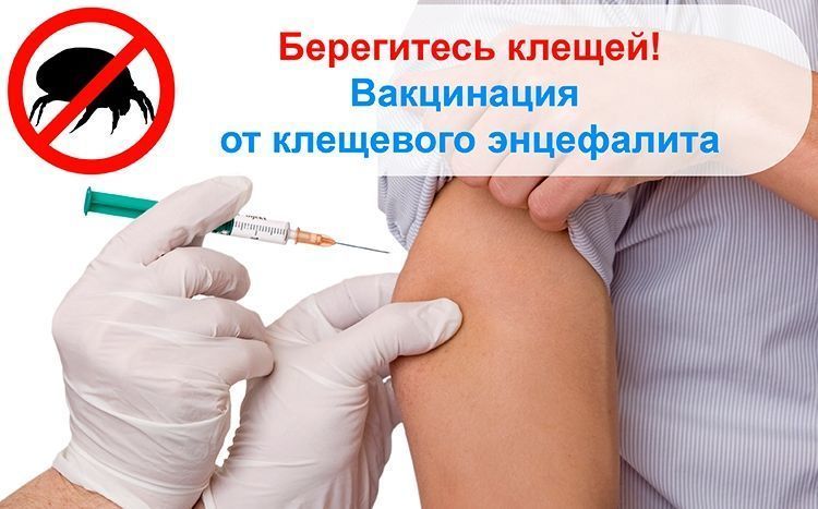 Началась вакцинация от клещевого энцефалита