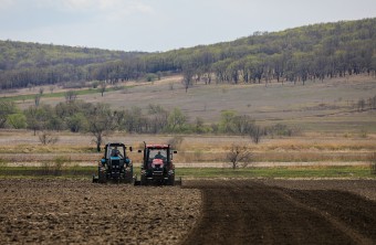 Более 65 тысяч гектаров кукурузы посеяли в Приморье