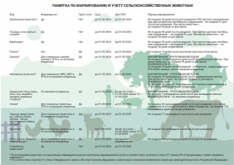 ПАМЯТКА ПО МАРКИРОВАНИЮ И УЧЕТУ СЕЛЬСКОХОЗЯЙСТВЕННЫХ ЖИВОТНЫХ 0