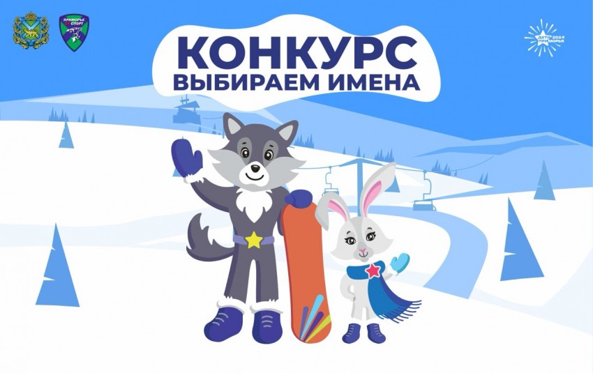 Стартует конкурс на лучшее имя для талисманов зимних игр «Дети Приморья»