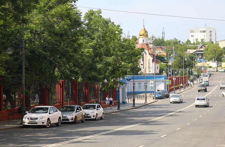 Более 100 заявок подано на конкурс грантов для ТОС Приморья