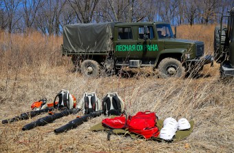 Два лесных пожара тушат в Приморье