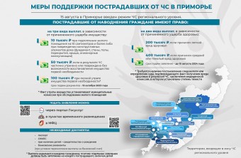 Приморцы могут получить выплаты за вред здоровью, причиненный в ходе ЧС