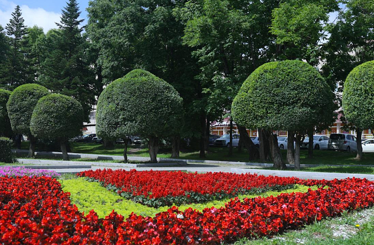 Приморский край – активный участник федерального конкурса благоустройства городов